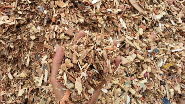 Leilão de energia gera economia de R$ 2,4 bilhões para consumidores