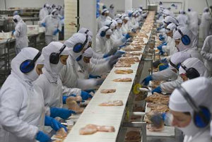 Brasil está preparado para receber missão russa Brasil está preparado para receber missão russa