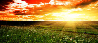 Comissão aprova direito de produtor rural escolher forma de contribuição