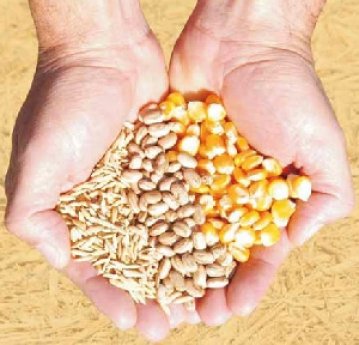 Governador de SP destaca potencial do agronegócio, mas cobra investimentos para diminuir custos Governador de SP destaca potencial do agronegócio, mas cobra investimentos para diminuir custos