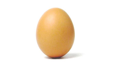 Começa o Programa de Capacitação e Inovação Ovos RS Começa o Programa de Capacitação e Inovação Ovos RS