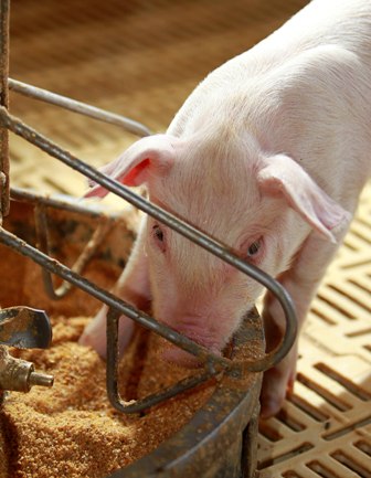 ???????????????????????????????????????????????????????????????????????????????????????????????????????????????????????????????????????????????????????????????????????????????????????????????????????????????????????????????????????????????????????????????????????????????????????????????????????????????????????????????????????????????????????????????????????????????????????????