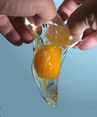 Em 2014 produção de ovos de galinha aumentou 3,2%