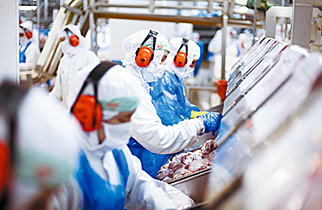 Frigoríficos começaram a semana testando o mercado Frigoríficos começaram a semana testando o mercado