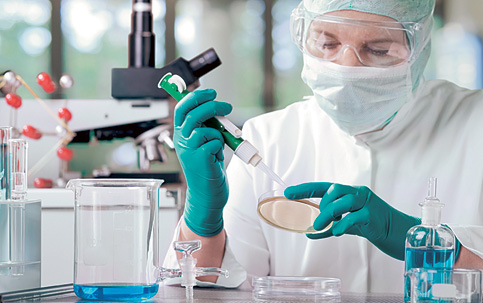 Agroindústria defendeu novo status em SC