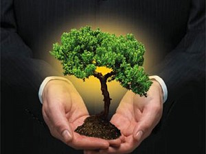 Redução de emissões mobiliza governo e empresas - por Ricardo Ernesto Rose