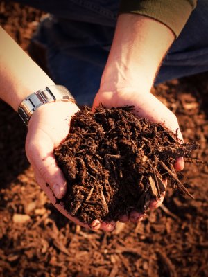 Usina modular de biogás avança no Rio Grande do Sul