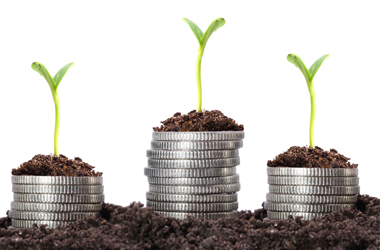 Acordo Conab e BNDES: investimento na agricultura familiar é de R$ 13 milhões