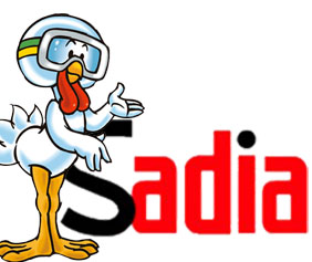 Sadia lança plano de ações para manter preferência e liderança em Minas Gerais