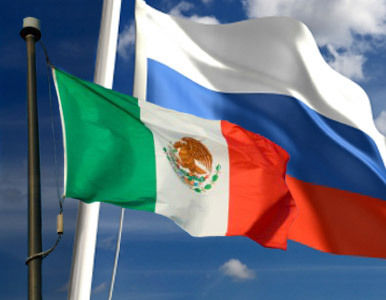 Com Rússia e México, banco prevê ano positivo para a avicultura brasileira Com Rússia e México, banco prevê ano positivo para a avicultura brasileira