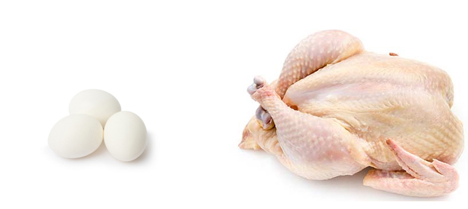 Frangos e ovos caipiras têm mercado garantido em Minaçu