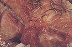 Lombo Suíno Trançado com Bacon e Abacaxi - Chef J. S. Motta Lombo Suíno Trançado com Bacon e Abacaxi - Chef J. S. Motta