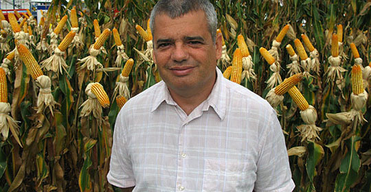 Marcelo Gravina, professor da UFRGS Marcelo Gravina, professor da UFRGS