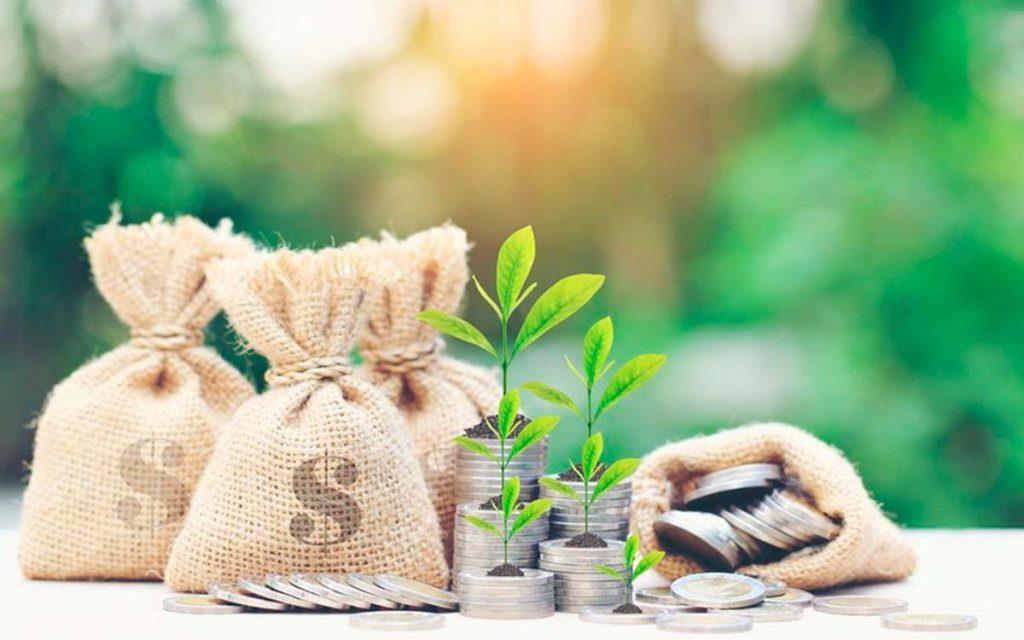 Cooperativas buscam acesso a recursos de longo prazo