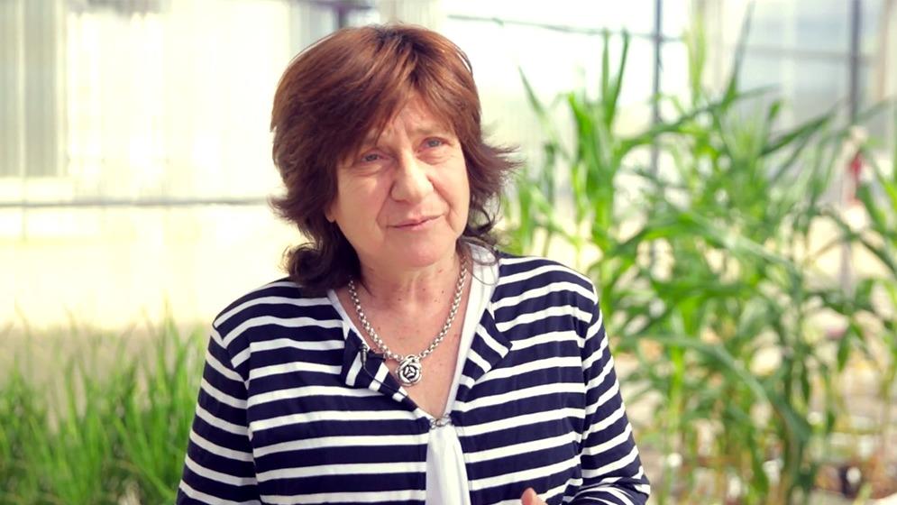 Raquel Chan recebe título Cátedra IICA por contribuições dos sistemas nacionais de ciência e tecnologia Raquel Chan recebe título Cátedra IICA por contribuições dos sistemas nacionais de ciência e tecnologia