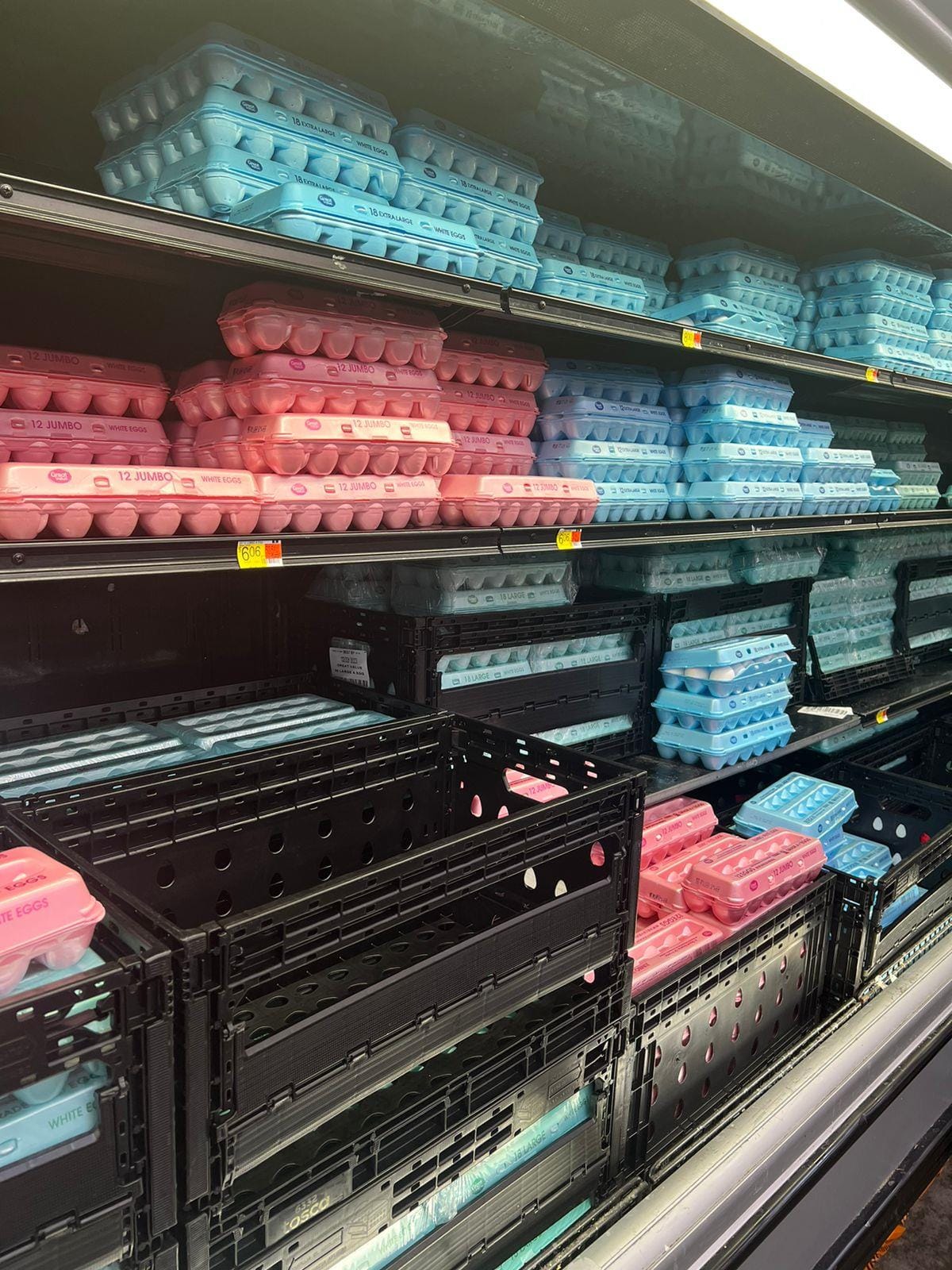 Consumidores americanos sofrem com falta de ovos nas prateleiras e preços altos