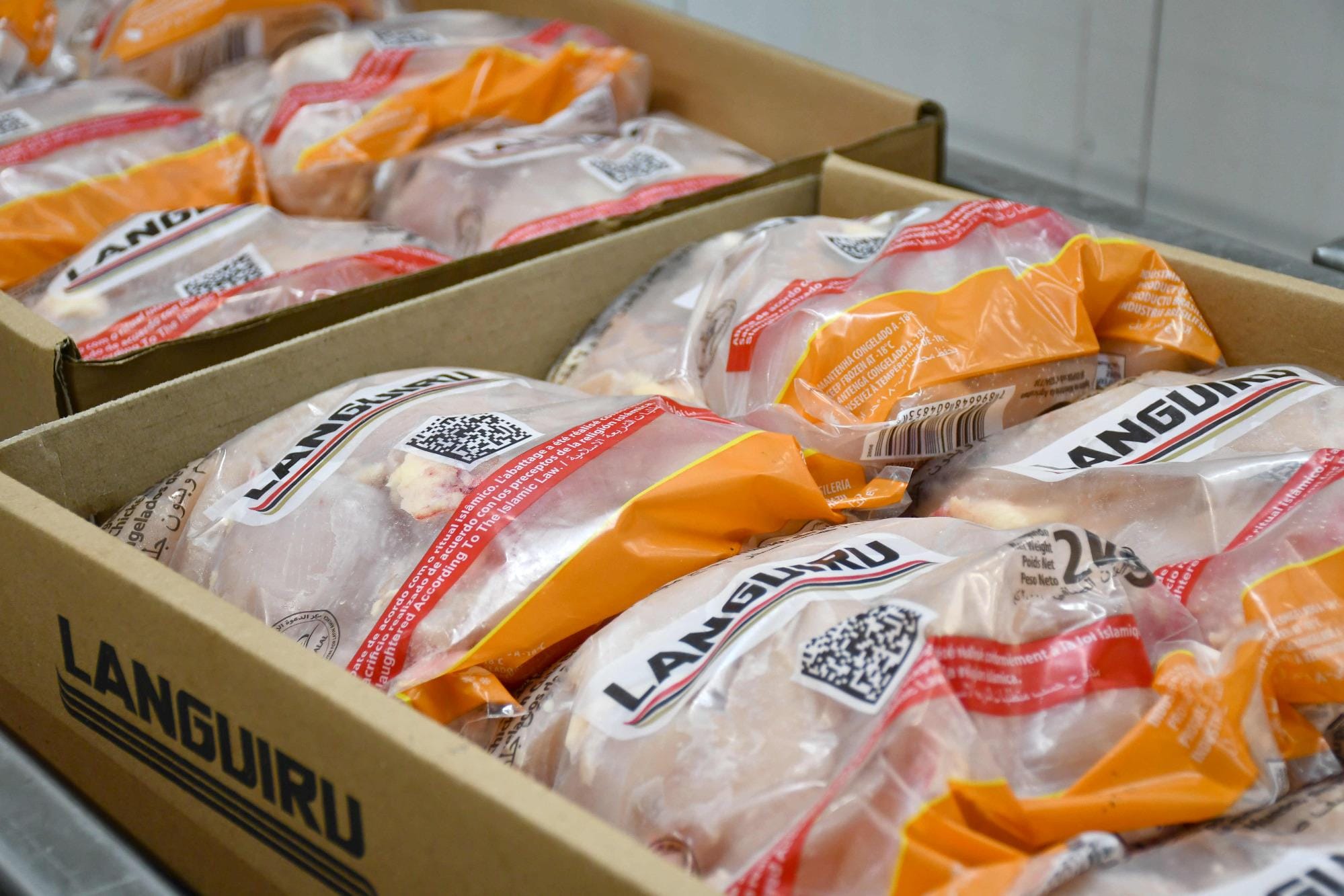 Cooperativa Languiru exporta carne de frango para a África do Sul