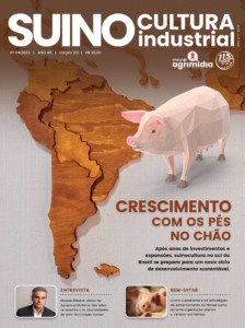 Edição 313 Edição 313