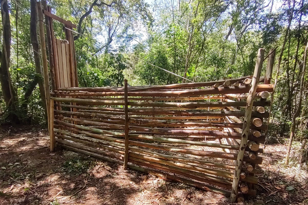 O Instituto Água e Terra (IAT), órgão vinculado à Secretaria de Estado do Desenvolvimento Sustentável e do Turismo (Sedest), iniciou a instalação de armadilhas para a captura de javalis no Parque Estadual Vila Rica do Espírito Santo, no município de Fênix. A espécie é considerada exótica invasora e causa prejuízos à fauna e flora local. [&hellip;]