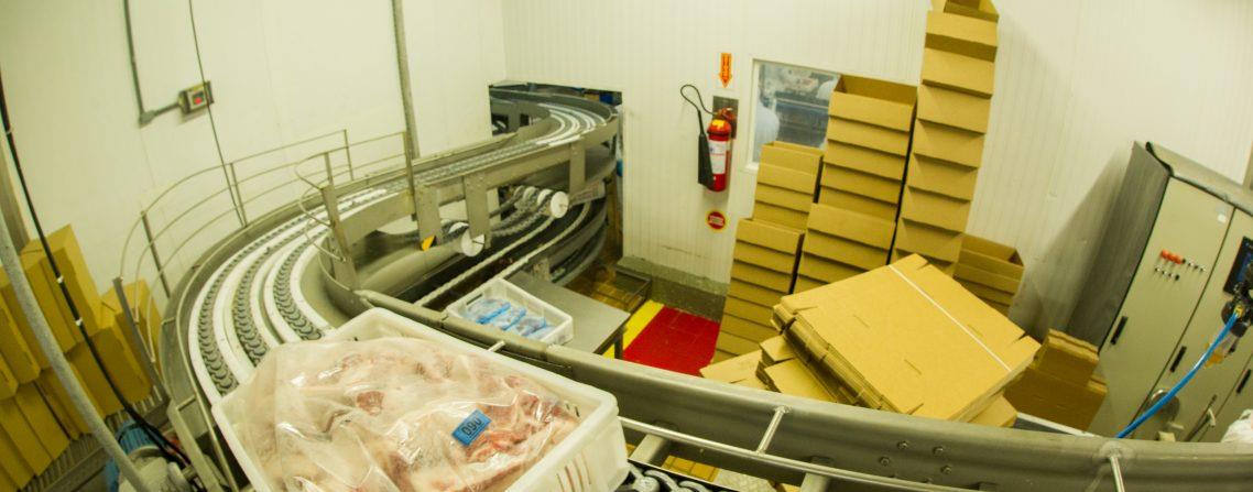 Exportações de carne suína alcançam 91,4 mil toneladas em março