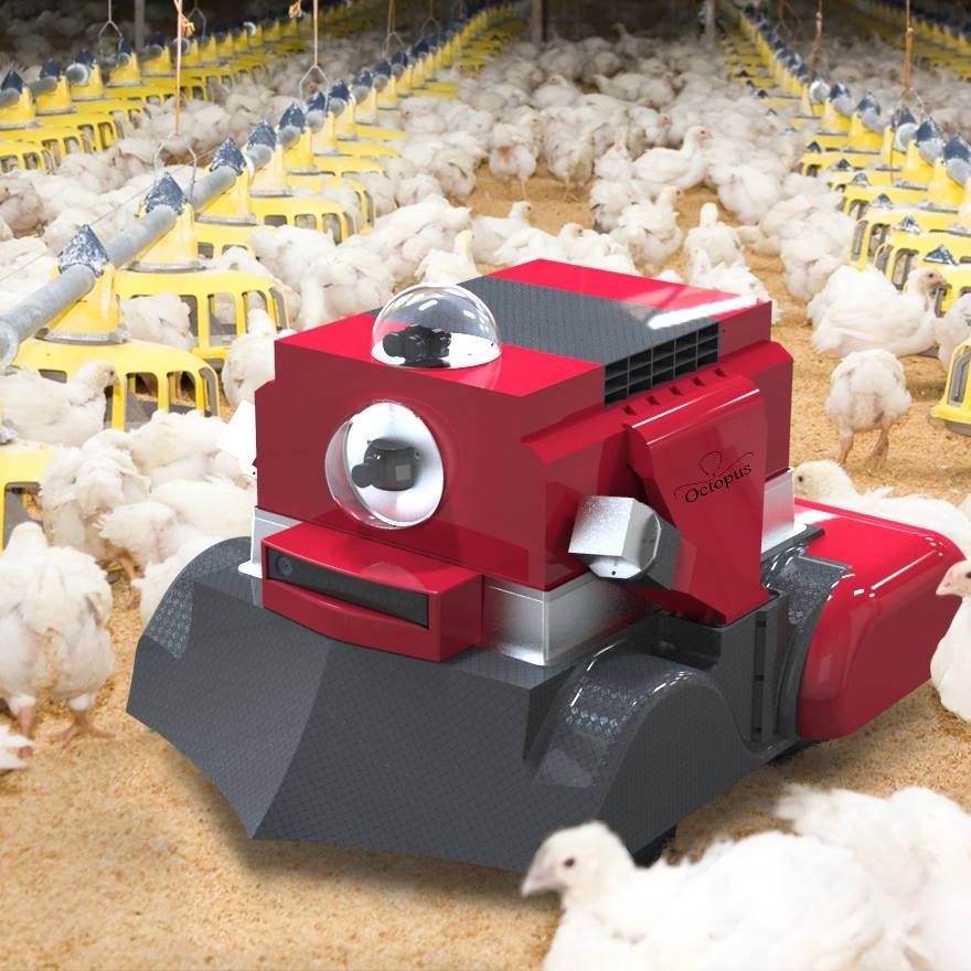 Robô realiza higienização em granjas e previne contaminações