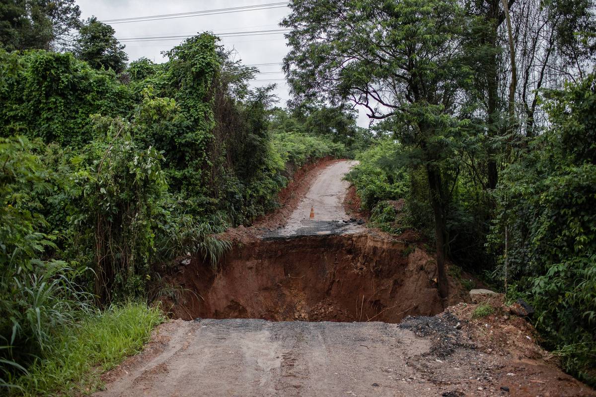 Chuva em Minas Gerais isola moradores e causa morte de animais