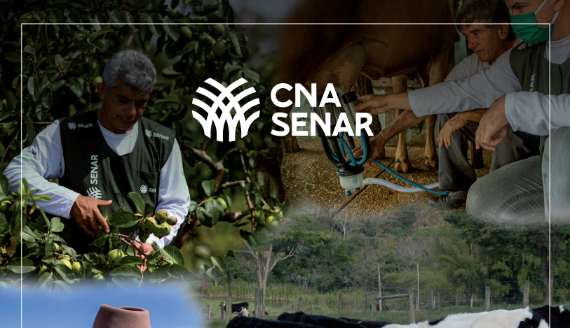 Pesquisa do CNA/SENAR revela prioridades e principais dificuldades dos produtores no acesso ao crédito e seguro rural