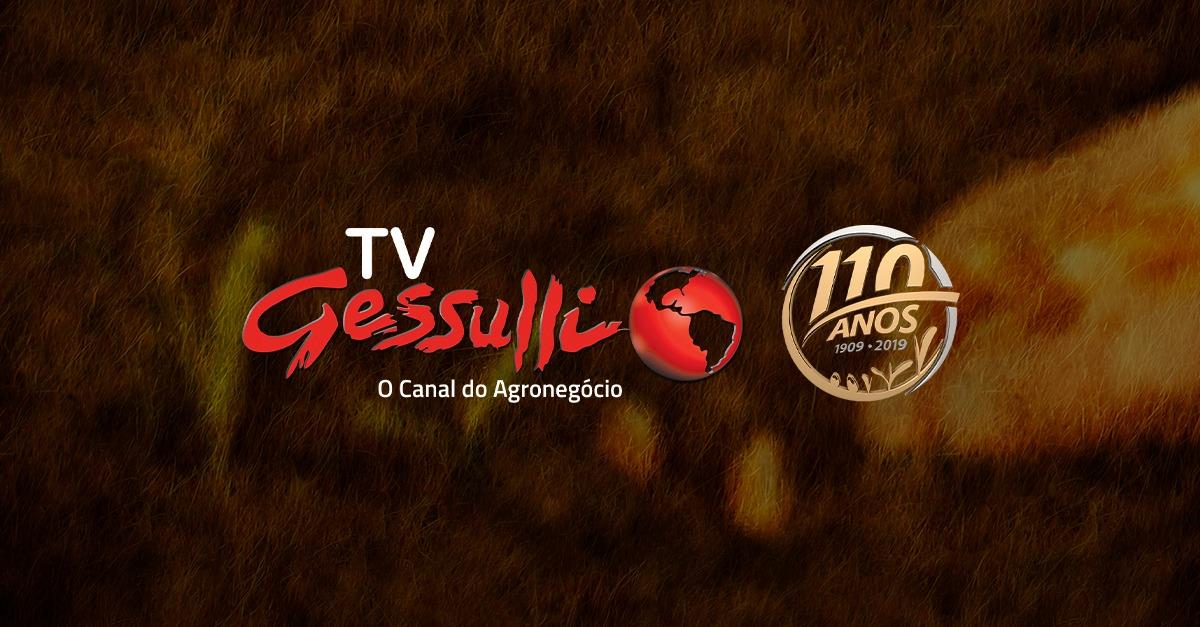TV Gessulli no YouTube! Se inscreva e se mantenha atualizado no mercado