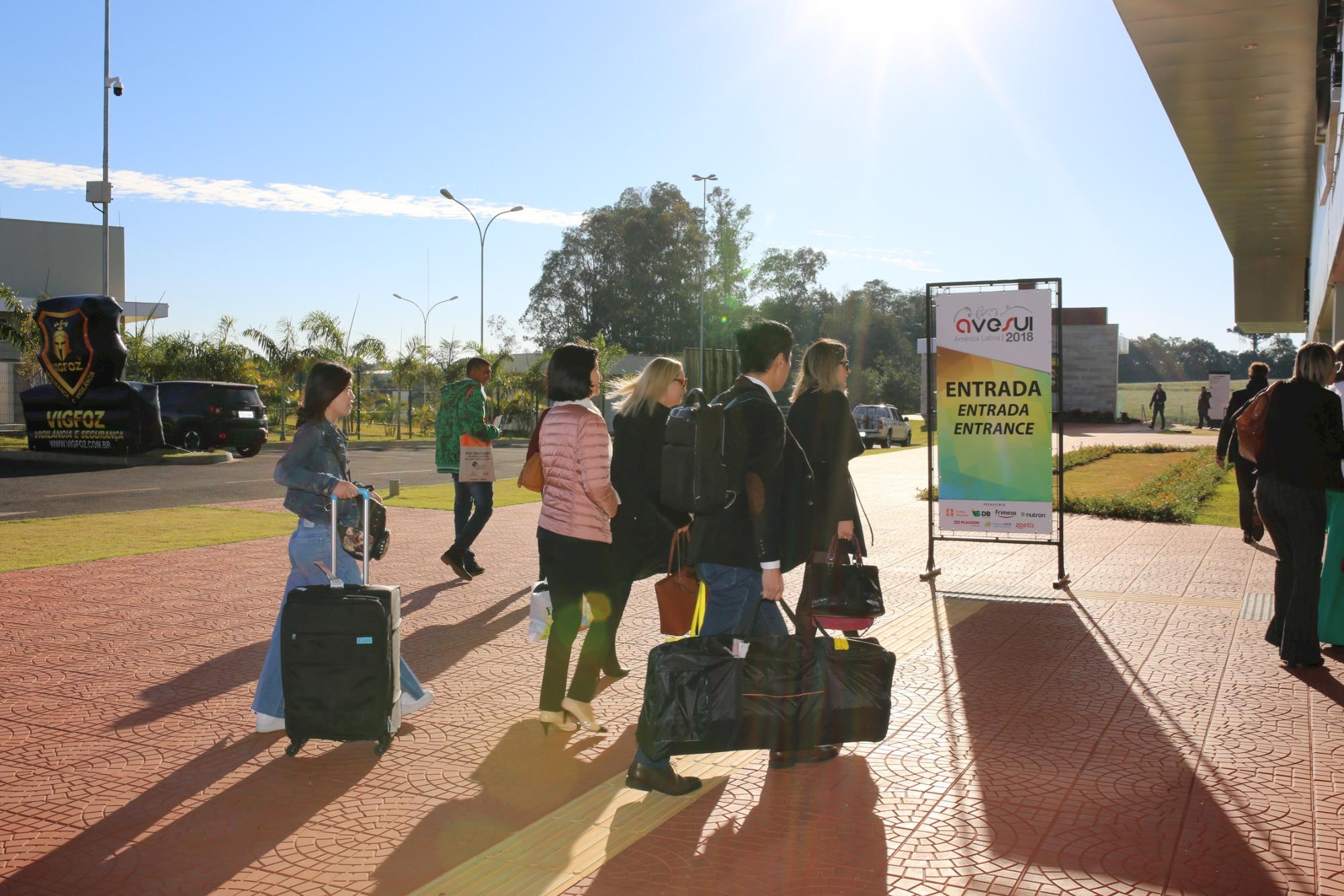 Falta inteligência de mercado para a indústria de carnes brasileira, afirmam especialistas