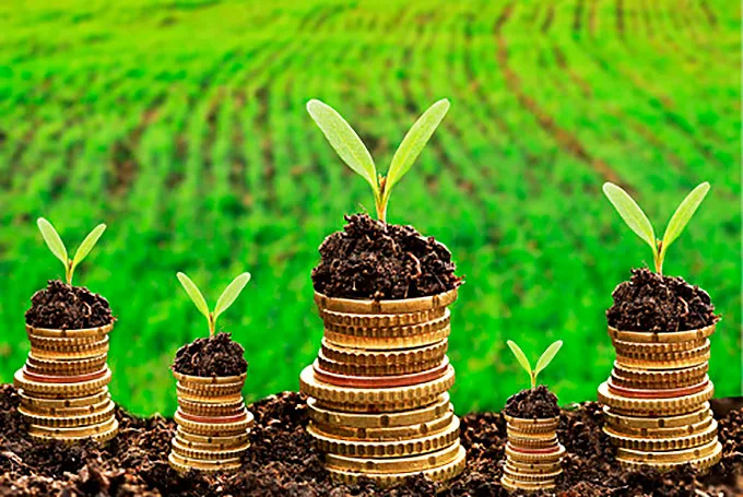 Depois de oito trimestres de queda PIB sobe impulsionado pelo agro