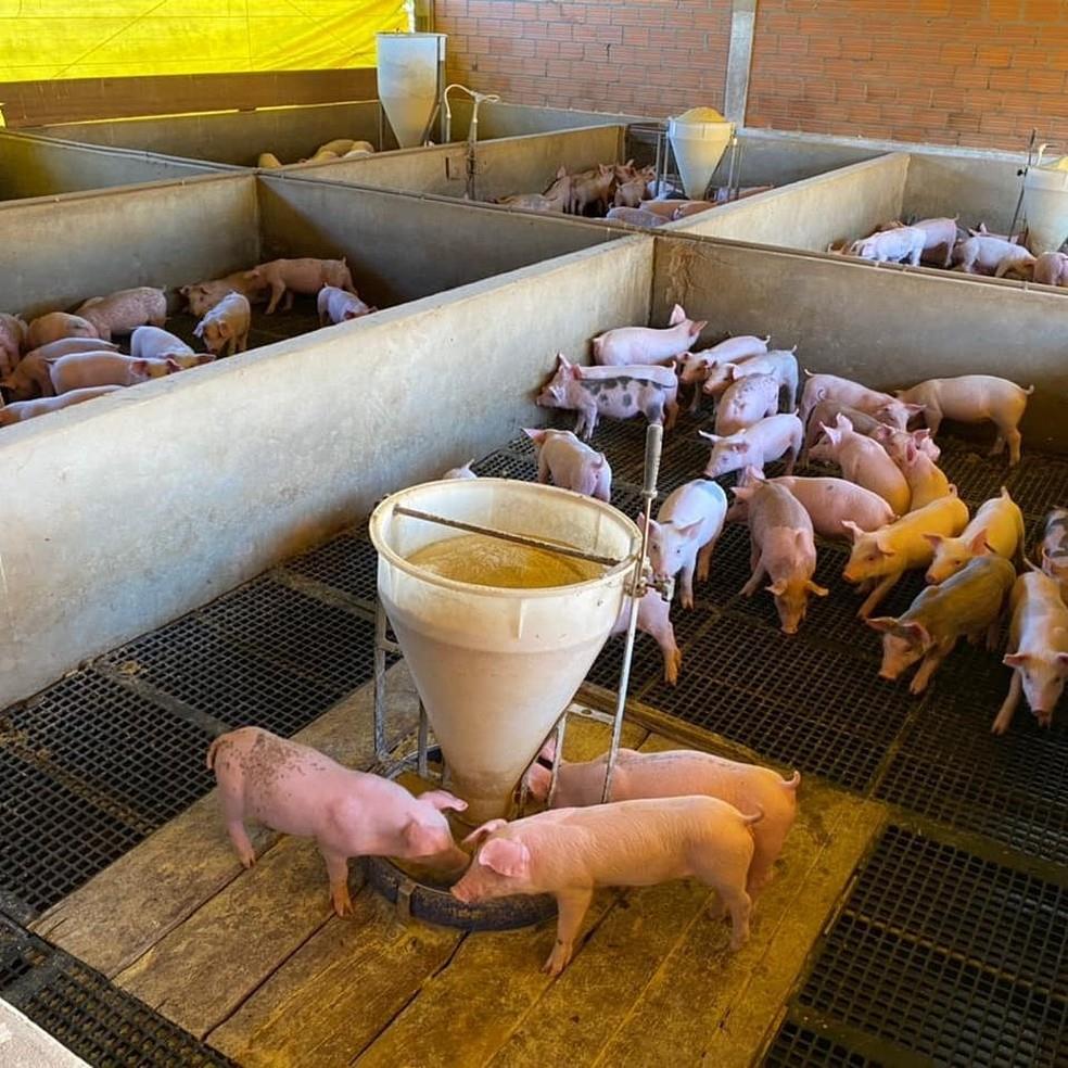 APC's: um caminho sem volta para o fim APC's: um caminho sem volta para o fim