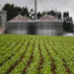 Brasil importa 41,7 milhões de toneladas de fertilizantes e bate recorde em 2025 Brasil importa 41,7 milhões de toneladas de fertilizantes e bate recorde em 2025