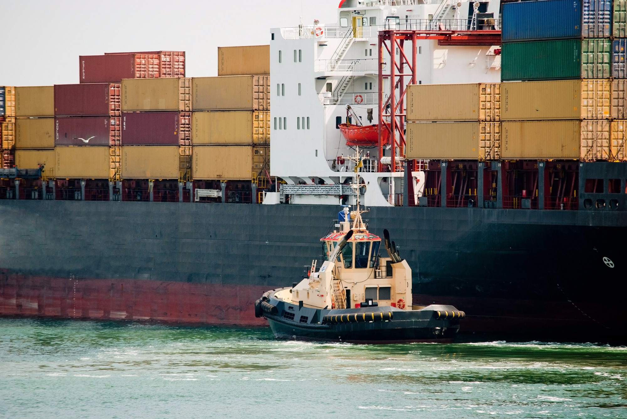 Importação de soja do Brasil pela China cai 18% em setembro com margens fracas na indústria