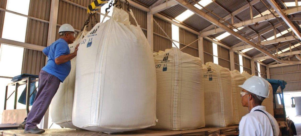 Brasil se destaca como referência em bioenergia, aponta Unctad Brasil se destaca como referência em bioenergia, aponta Unctad