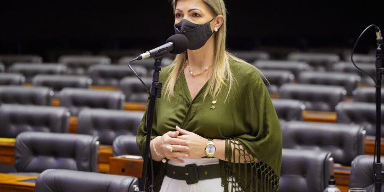 Seminário realizado na Câmara dos Deputados debate mudanças do crédito para o agronegócio