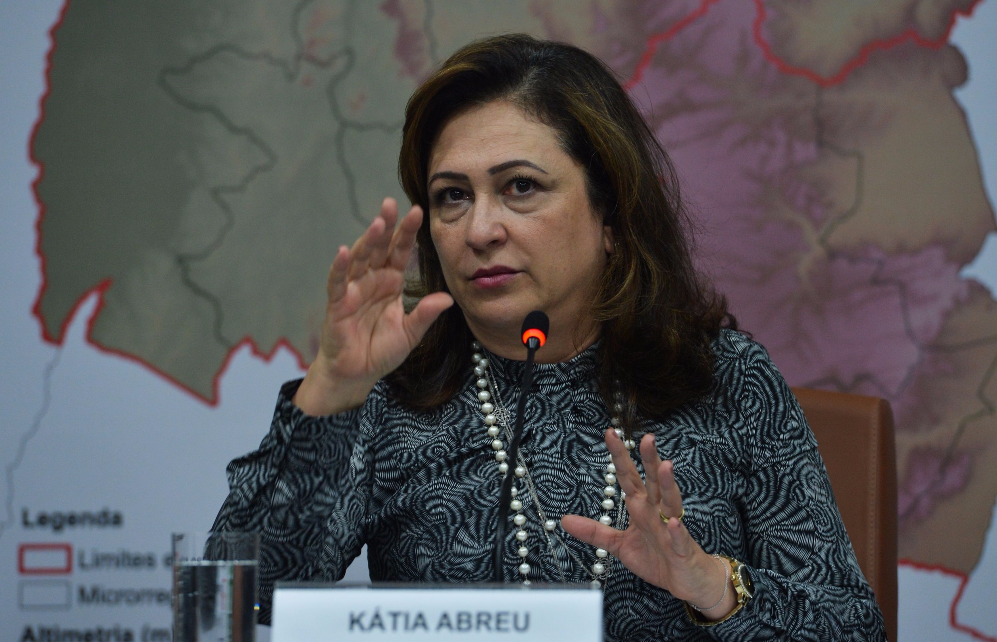 A ministra Agricultura, Pecuária e Abastecimento, Kátia Abreu, apresenta o Plano de Desenvolvimento Agropecuário da Região Norte (Valter Campanato/Agência Brasil) A ministra Agricultura, Pecuária e Abastecimento, Kátia Abreu, apresenta o Plano de Desenvolvimento Agropecuário da Região Norte (Valter Campanato/Agência Brasil)