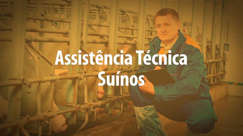 "Quem é Quem": conheça os finalistas da Categoria Assistente Técnico na Suinocultura "Quem é Quem": conheça os finalistas da Categoria Assistente Técnico na Suinocultura