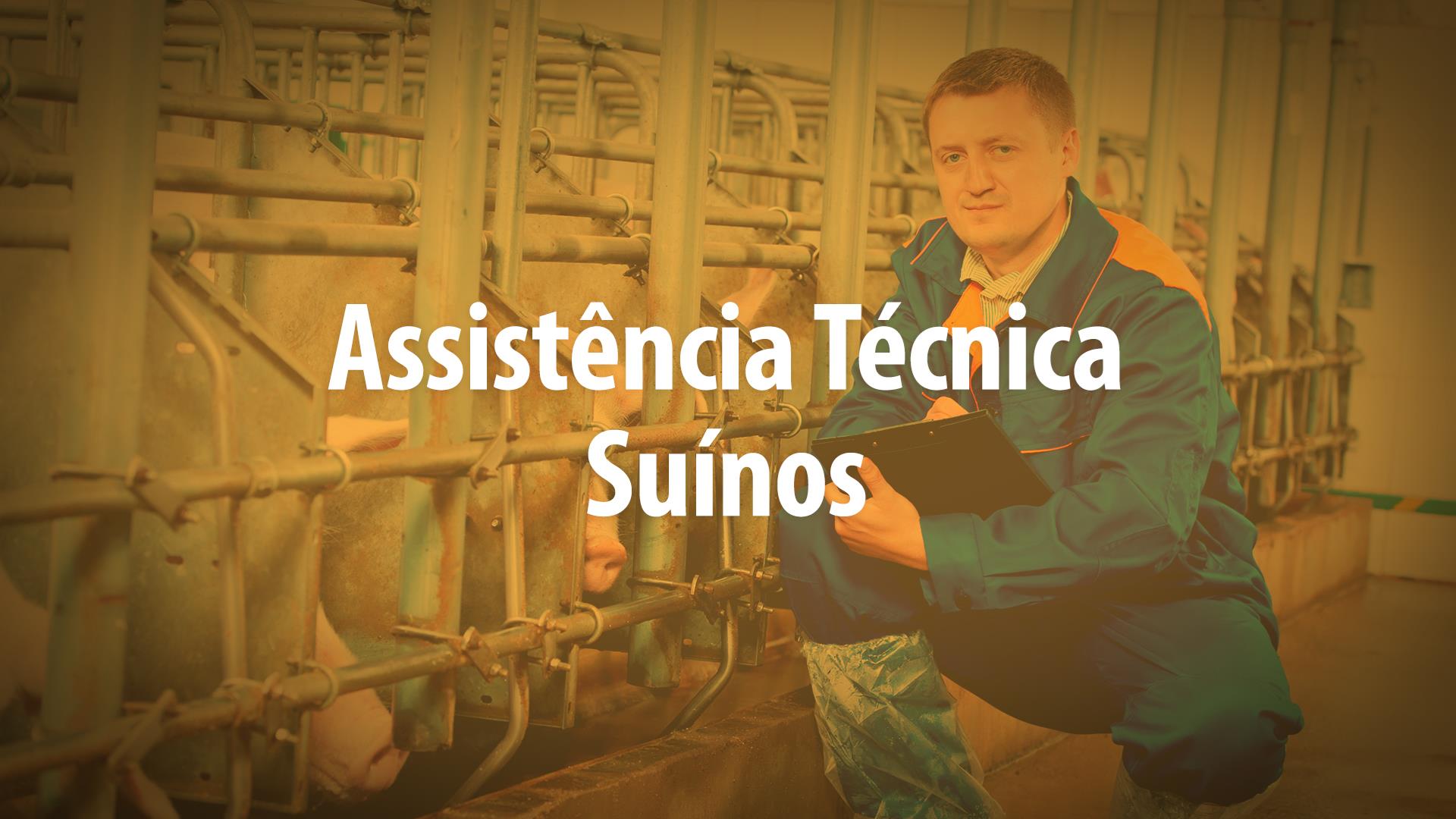 "Quem é Quem": conheça os finalistas da Categoria Assistente Técnico na Suinocultura