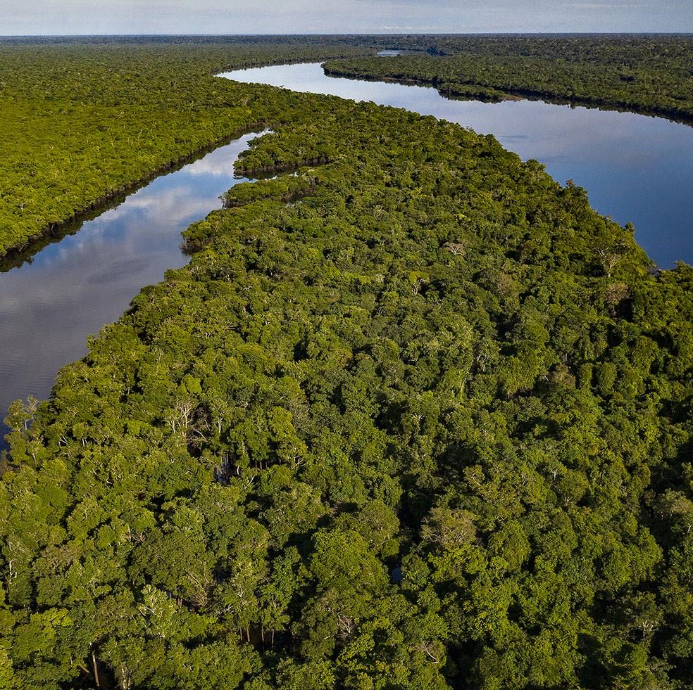 Floresta+ Agro busca apoiar a remuneração da conservação