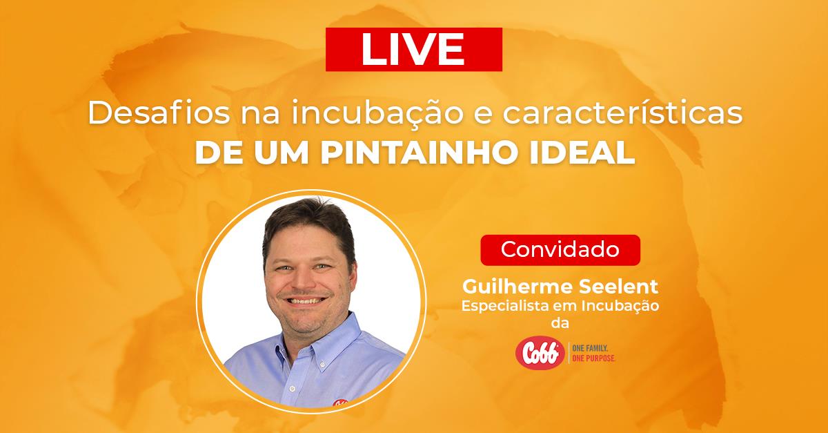 Em live, especialista da Cobb fala sobre os atuais desafios em incubação