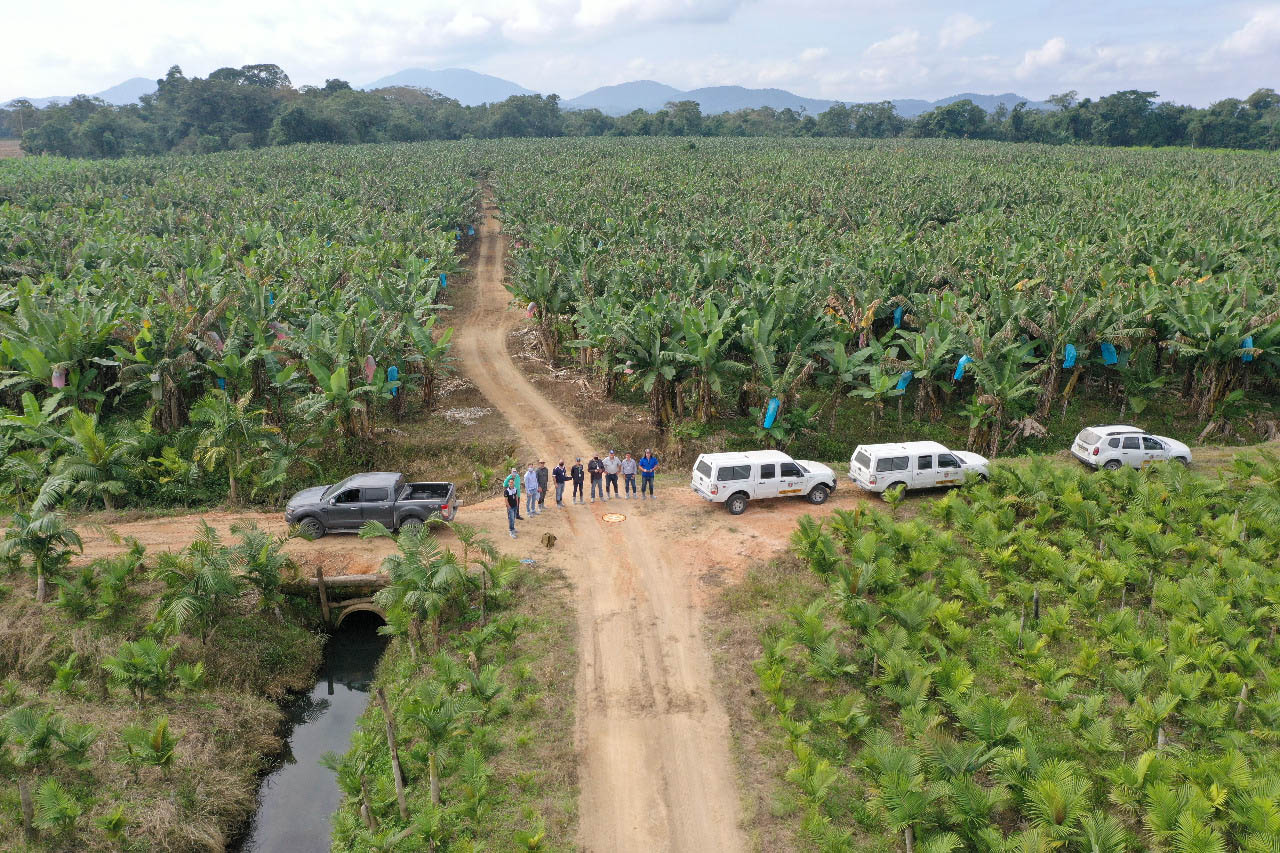 Adapar treina operadores de drones para defesa sanitária vegetal –
