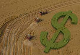 Representante do Mapa defende concorrência de crédito em momentos de commodities em queda