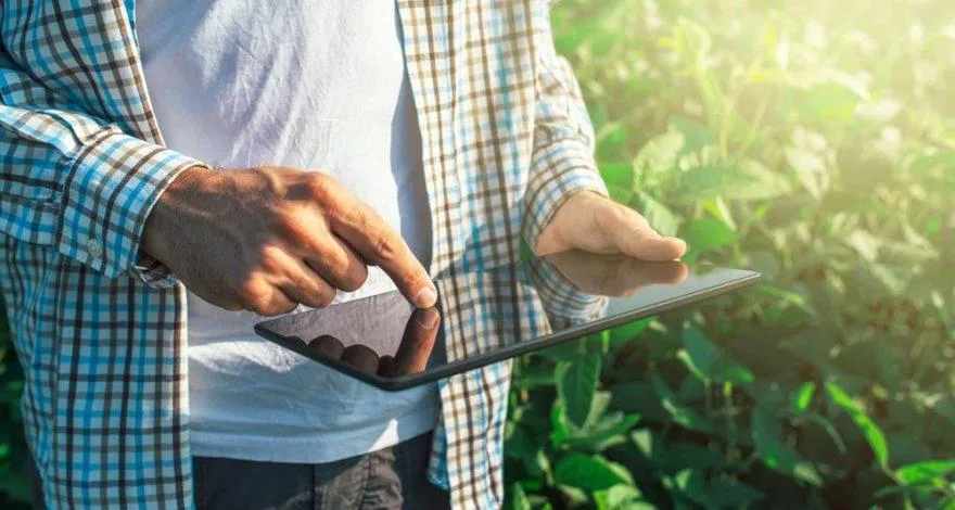 Projeção de crescimento do PIB-volume do agro cai para 1,9%