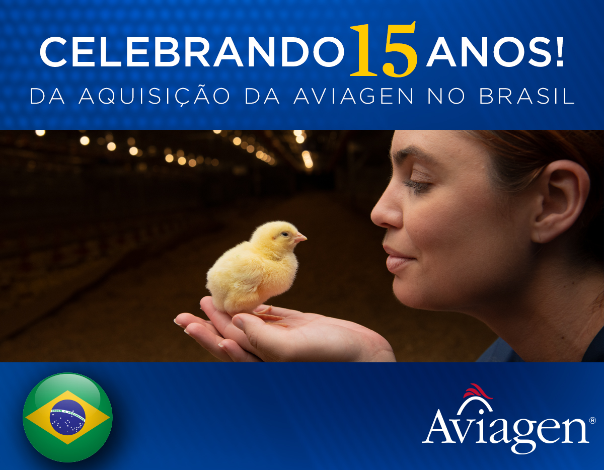 Celebrando 15 anos da aquisição, Aviagen firma posição de destaque no mercado avícola brasileiro Celebrando 15 anos da aquisição, Aviagen firma posição de destaque no mercado avícola brasileiro