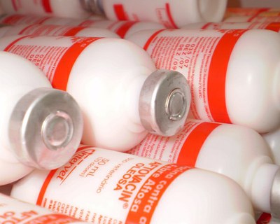 Retirada da vacina contra a febre aftosa está a caminho