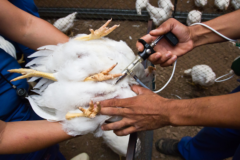 A proteção vai muito além da vacina! A proteção vai muito além da vacina!