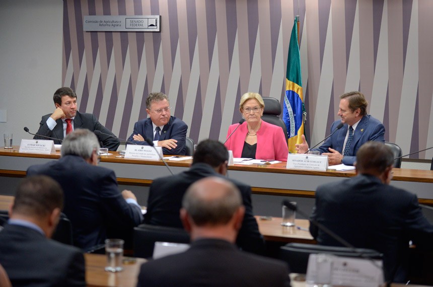 Governo pode autorizar importação de milho para reduzir preço