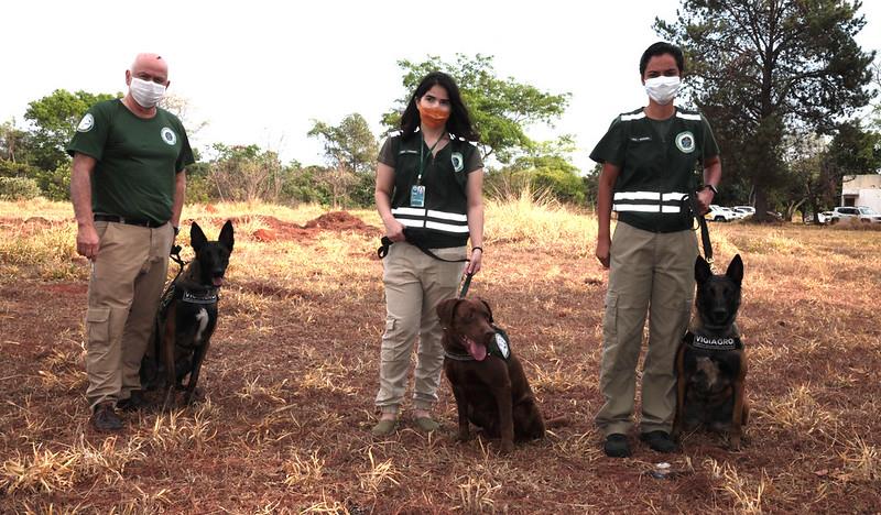 Mapa terá complexo de treinamento para cães farejadores da vigilância agropecuária