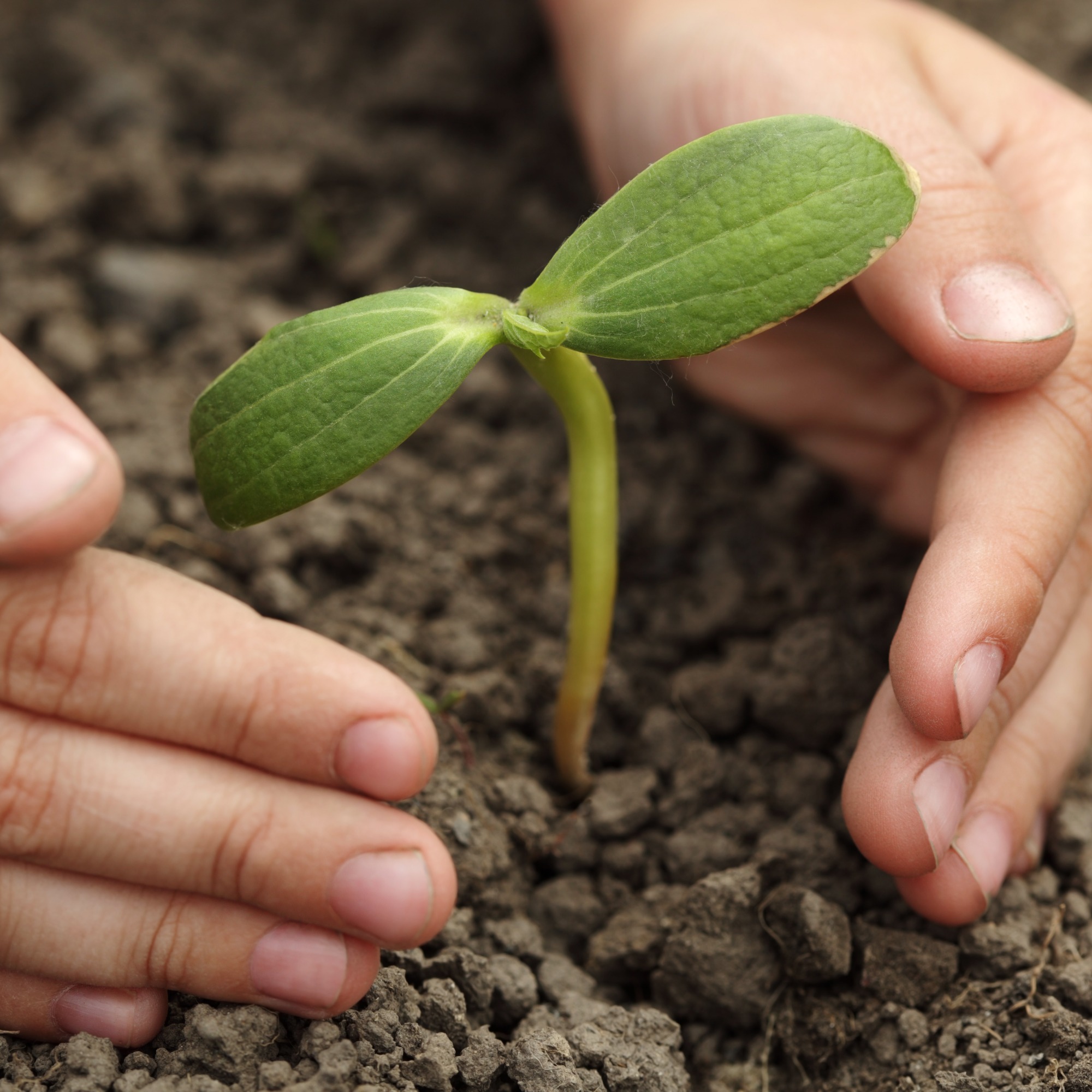 Governo do Paraná, JBS e mais empresas criam comitê ESG Governo do Paraná, JBS e mais empresas criam comitê ESG