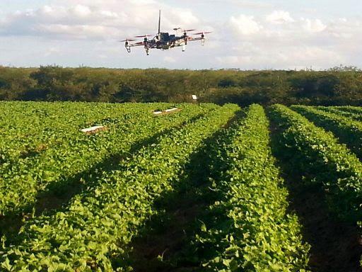 Automação ganha espaço em todas as etapas da agricultura brasileira